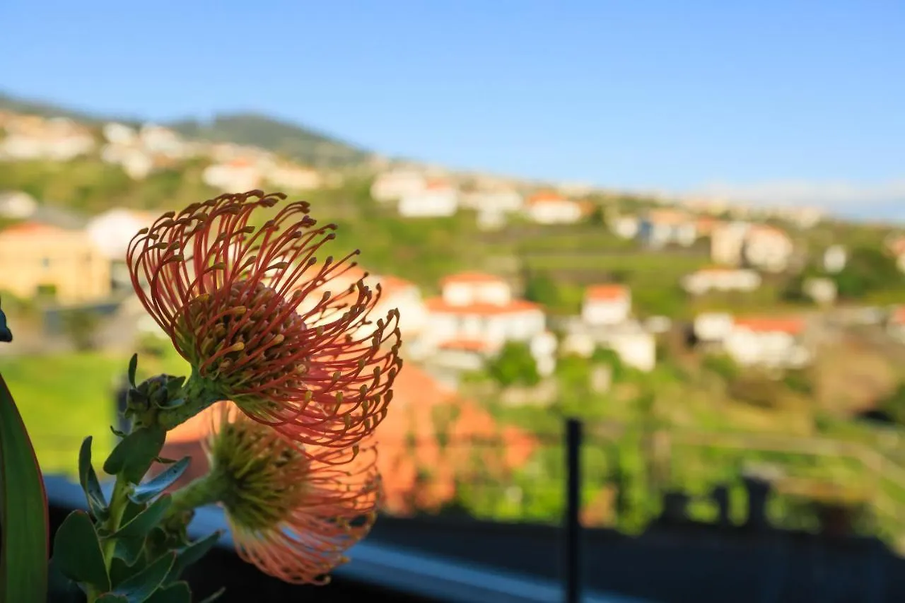Vila Morning Sun Apartment Calheta  0*, Calheta (Madeira)
