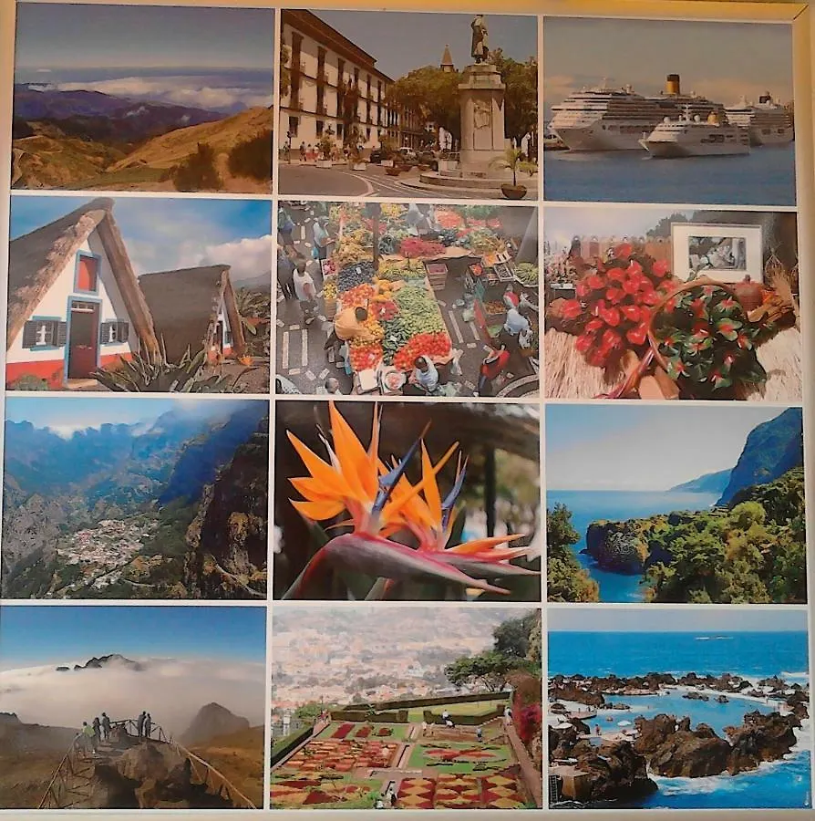Vila Morning Sun Apartment Calheta